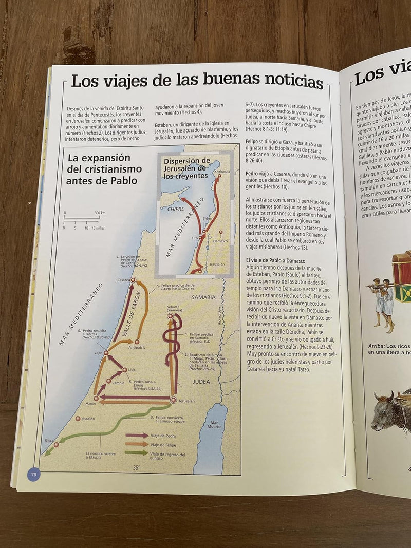 Cargue la imagen en el visor de la galería, Guía bíblica ilustrada - Edición especial limitada
