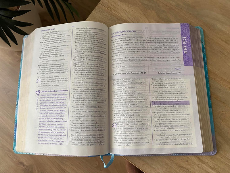 Cargue la imagen en el visor de la galería, Biblia de una Joven Conforme al Corazón de Dios RVR 1960, imitación piel brisa
