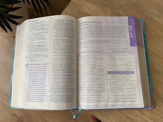Biblia de una Joven Conforme al Corazón de Dios RVR 1960, imitación piel brisa