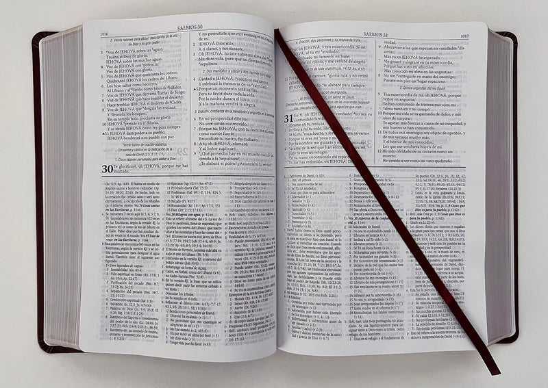 Cargue la imagen en el visor de la galería, Biblia de Estudio Dake RVR 1960, piel marrón
