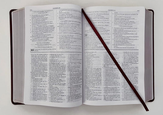 Biblia de Estudio Dake RVR 1960, piel marrón
