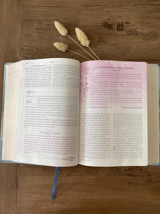 Biblia devocional los Lenguajes del Amor RVR 1960, edición blanca con oro rosa