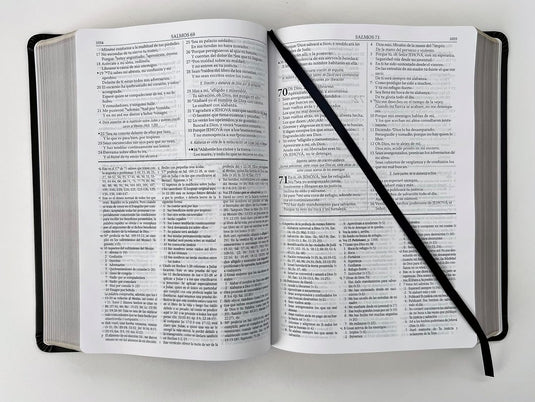 Biblia de Estudio Dake RVR 1960, piel negra