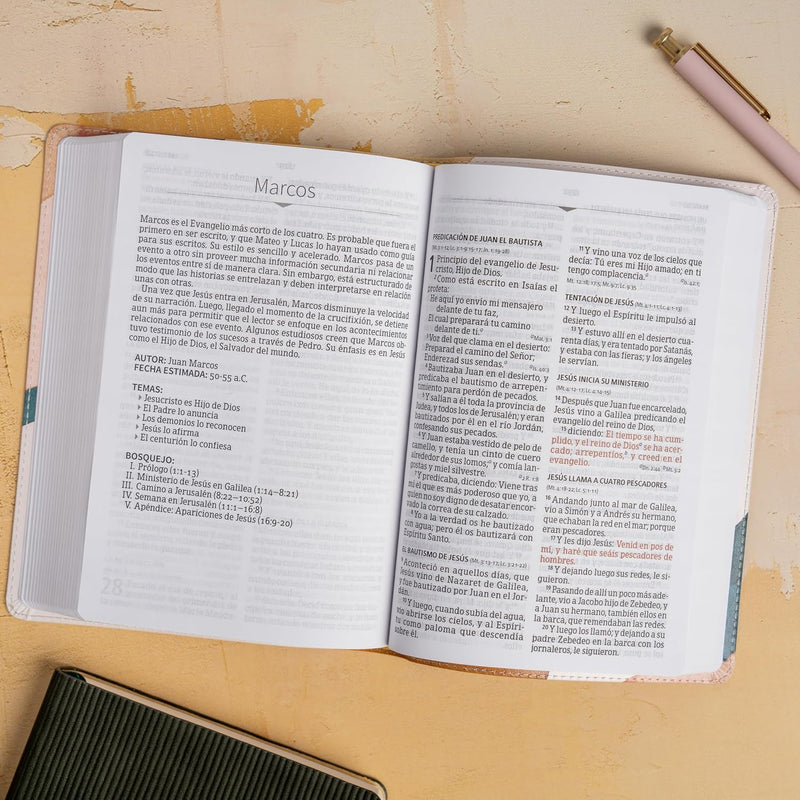 Cargue la imagen en el visor de la galería, Biblia RVR 1960, Letra Grande, Tamaño Manual, edición especial, símil piel acuarela
