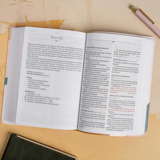 Biblia RVR 1960, Letra Grande, Tamaño Manual, edición especial, símil piel acuarela