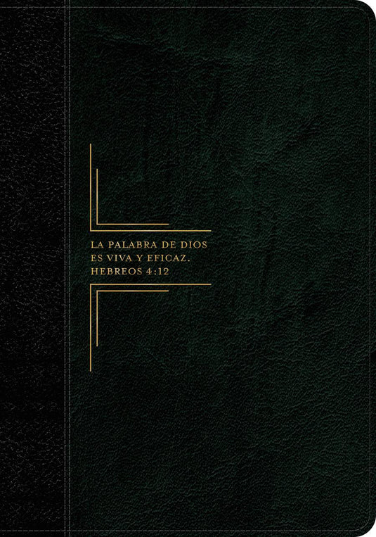 Biblia de estudio del Diario Vivir RVR 1960, Letra Grande, imitación piel negra