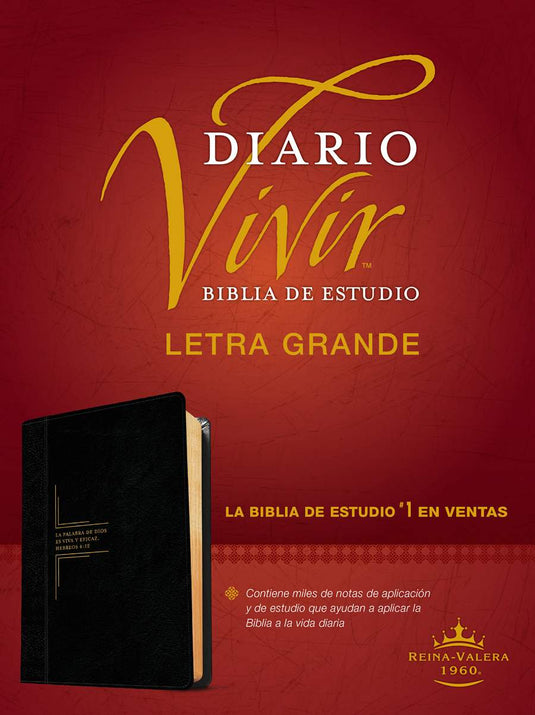 Biblia de estudio del Diario Vivir RVR 1960, Letra Grande, imitación piel negra