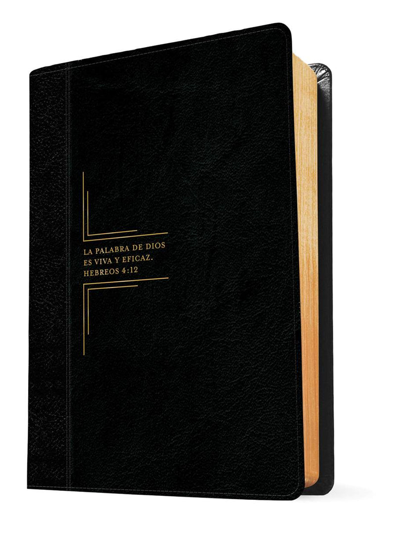 Cargue la imagen en el visor de la galería, Biblia de estudio del Diario Vivir RVR 1960, Letra Grande, imitación piel negra
