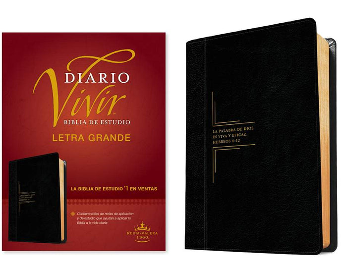 Biblia de estudio del Diario Vivir RVR 1960, Letra Grande, imitación piel negra