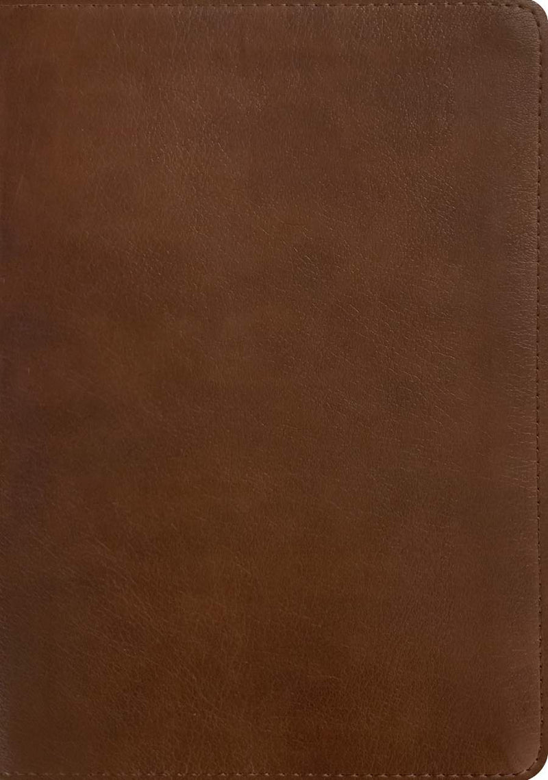 Cargue la imagen en el visor de la galería, NLT Personal Size Giant Print Bible, Filament Enabled

