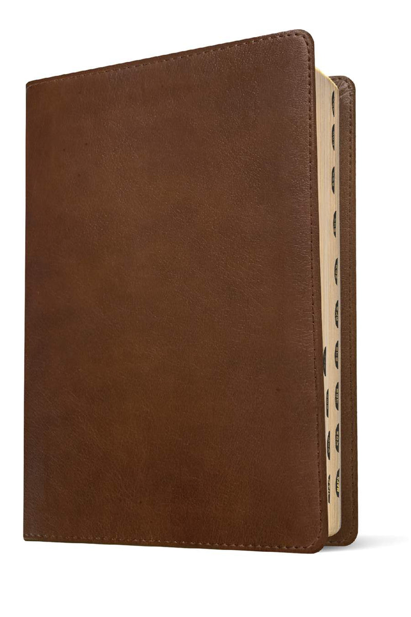 Cargue la imagen en el visor de la galería, NLT Personal Size Giant Print Bible, Filament Enabled
