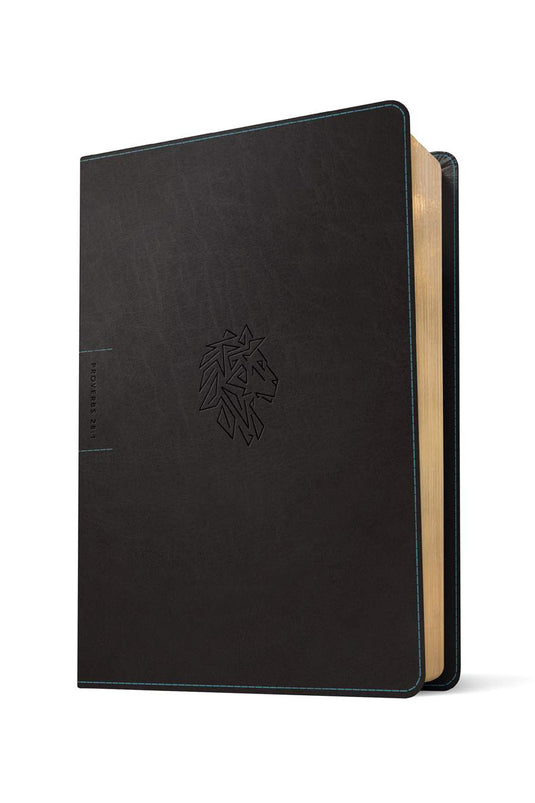 NLT Courage For Life Study Bible for Men, Filament Enabled