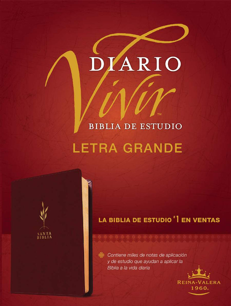 Cargue la imagen en el visor de la galería, Biblia de estudio del Diario Vivir RVR 1960, Letra Grande, imitación piel vino

