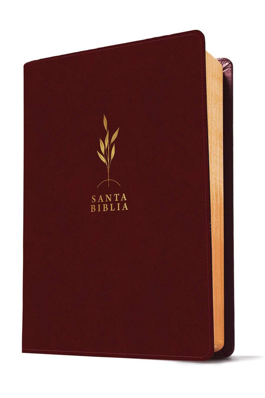 Biblia de estudio del Diario Vivir RVR 1960, Letra Grande, imitación piel vino