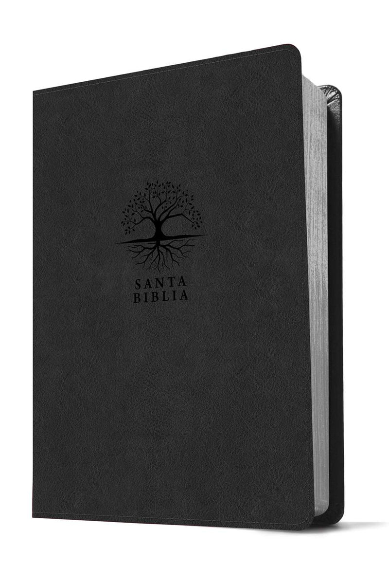 Cargue la imagen en el visor de la galería, Biblia de estudio del Diario Vivir RVR 1960, Letra Grande, imitación piel negra
