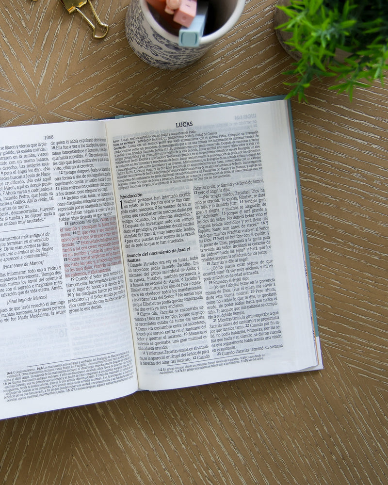 Cargue la imagen en el visor de la galería, Biblia de promesas para mujeres jóvenes NTV, tapa dura
