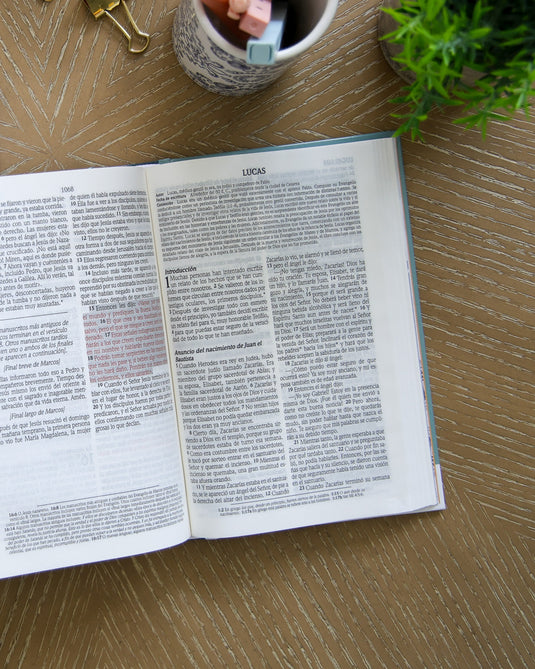 Biblia de promesas para mujeres jóvenes NTV, tapa dura