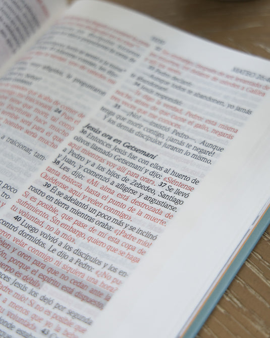 Biblia de promesas para mujeres jóvenes NTV, tapa dura