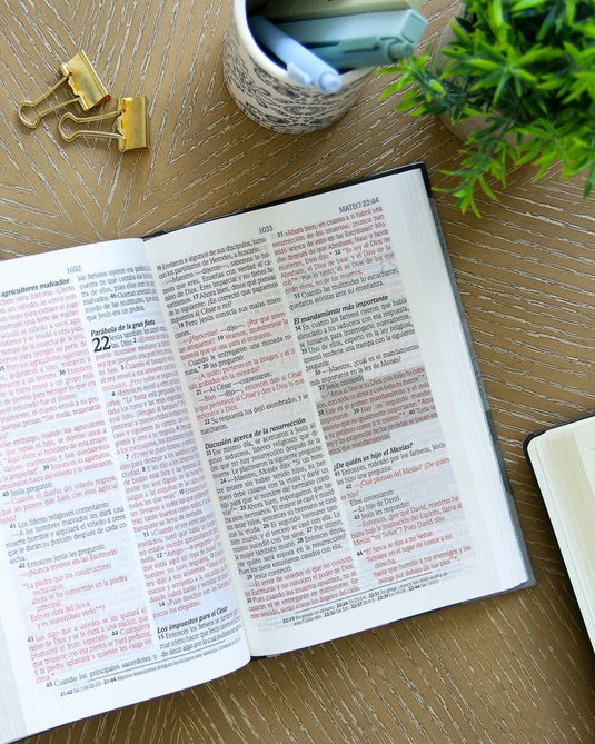 Biblia de promesas edición para hombres jóvenes NTV, tapa dura