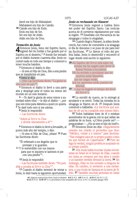 Cargue la imagen en el visor de la galería, Biblia de promesas edición para hombres jóvenes NTV, tapa dura
