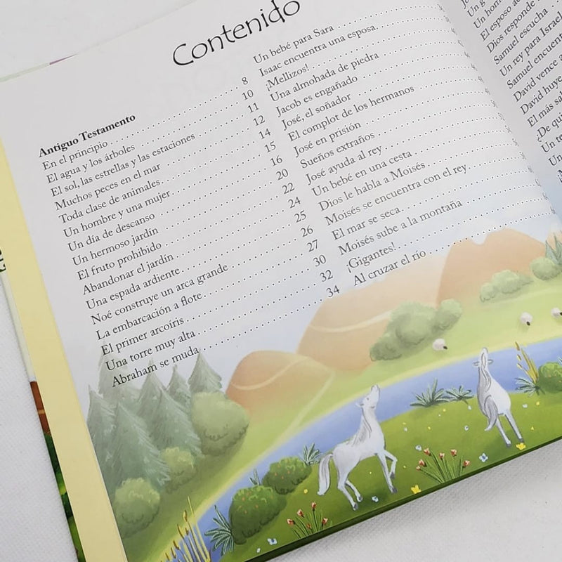 Cargue la imagen en el visor de la galería, 99 historias de la Biblia
