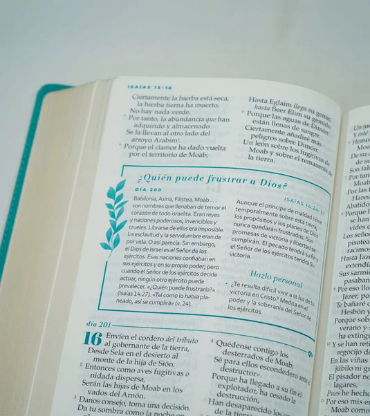 Biblia devocional Mujer Verdadera NBLA, Letra Grande,  imitación piel aqua