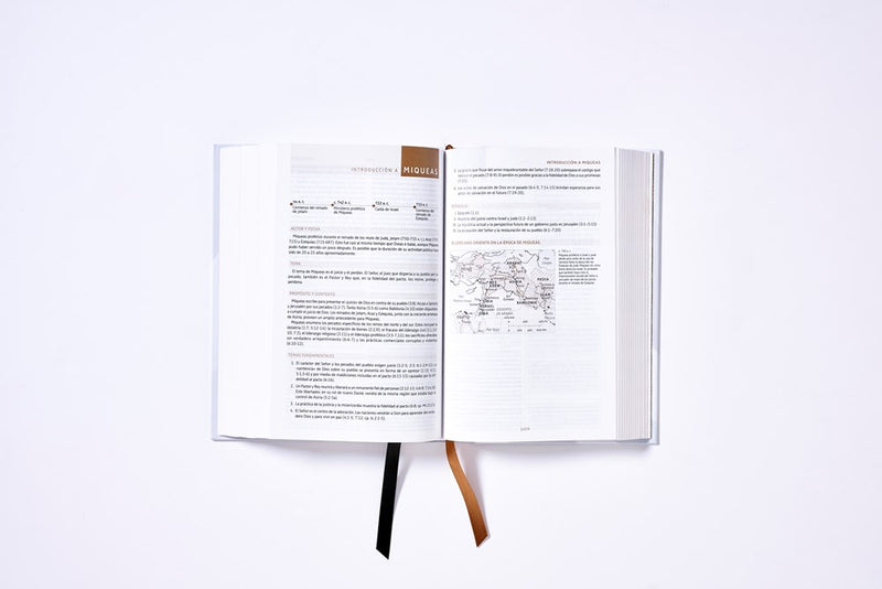 Cargue la imagen en el visor de la galería, Biblia de Estudio NBLA, Interior a dos colores,Tapa dura, Comfort Print
