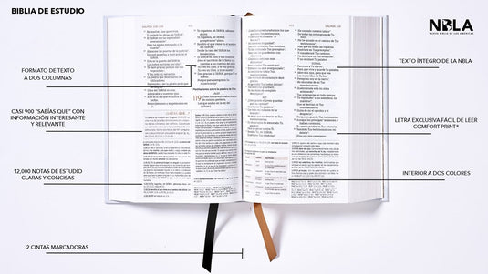 Biblia de Estudio NBLA, Interior a dos colores,Tapa dura, Comfort Print