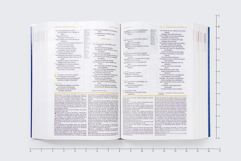 Cargue la imagen en el visor de la galería, Biblia de Estudio actualizada NVI, Revisión 2022, Letra Grande, Tapa dura
