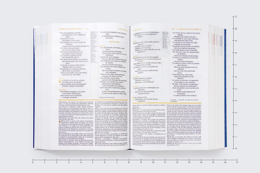 Biblia de Estudio actualizada NVI, Revisión 2022, Letra Grande, Tapa dura