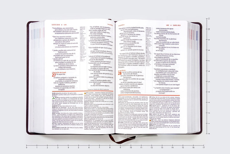 Cargue la imagen en el visor de la galería, Biblia de Estudio actualizada NVI, Revisión 2022, Letra Grande, imitación piel café
