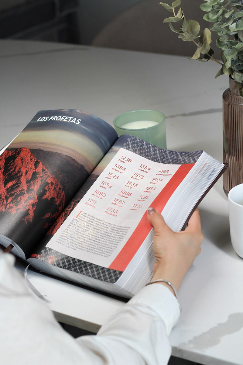 Cargue la imagen en el visor de la galería, Biblia de Estudio actualizada NVI, Revisión 2022, Letra Grande, imitación piel café
