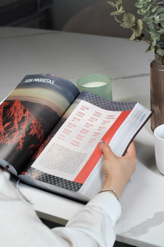 Biblia de Estudio actualizada NVI, Revisión 2022, Letra Grande, imitación piel café