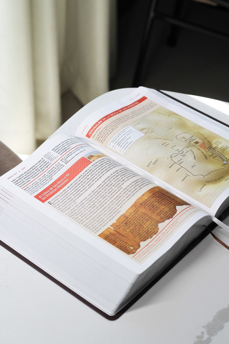 Cargue la imagen en el visor de la galería, Biblia de Estudio actualizada NVI, Revisión 2022, Letra Grande, imitación piel café
