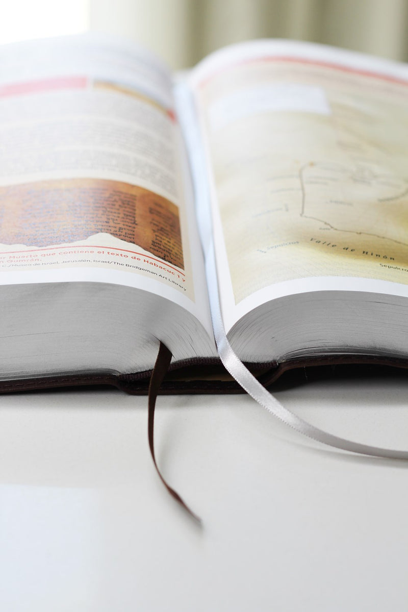 Cargue la imagen en el visor de la galería, Biblia de Estudio actualizada NVI, Revisión 2022, Letra Grande, imitación piel café
