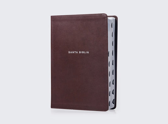 Biblia de Estudio actualizada NVI, Revisión 2022, Letra Grande, con índice, imitación piel café