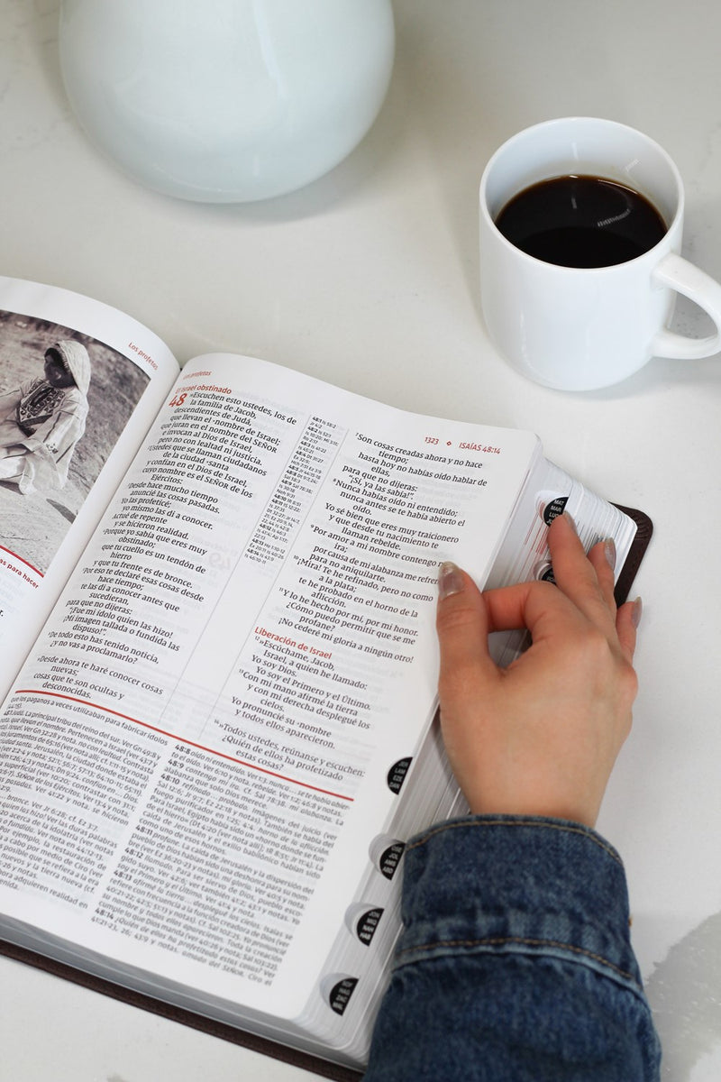 Cargue la imagen en el visor de la galería, Biblia de Estudio actualizada NVI, Revisión 2022, Letra Grande, con índice, imitación piel café
