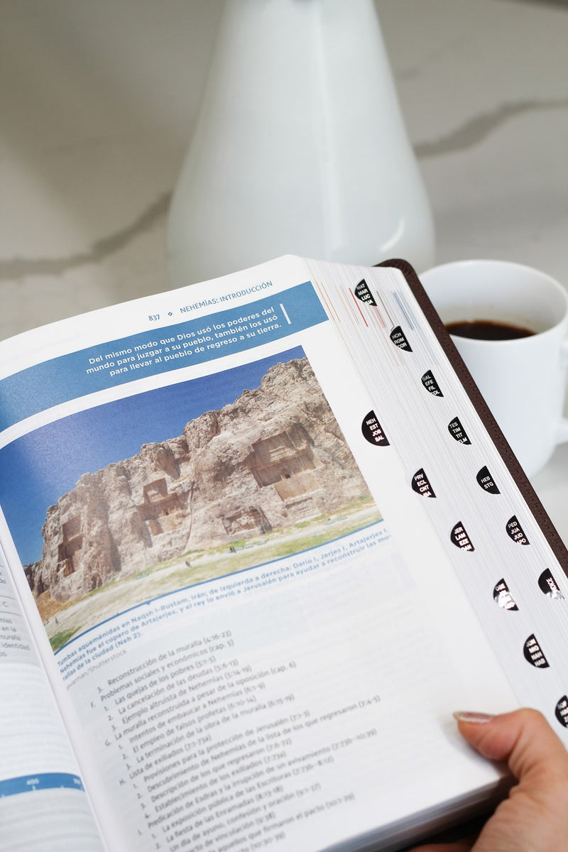 Cargue la imagen en el visor de la galería, Biblia de Estudio actualizada NVI, Revisión 2022, Letra Grande, con índice, imitación piel café
