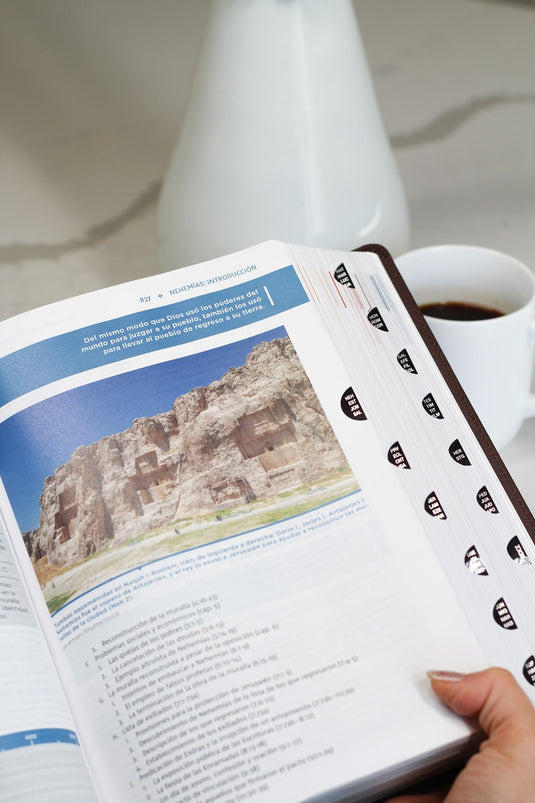 Biblia de Estudio actualizada NVI, Revisión 2022, Letra Grande, con índice, imitación piel café