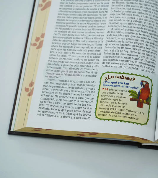 Biblia Aventura NBLA, Interior a color, Tapa dura, Cierre Magnético, Comfort Print