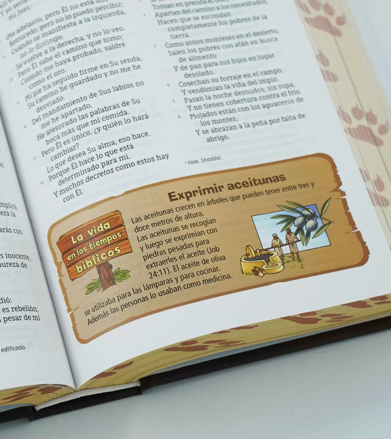 Cargue la imagen en el visor de la galería, Biblia Aventura NBLA, Interior a color, Tapa dura, Cierre Magnético, Comfort Print
