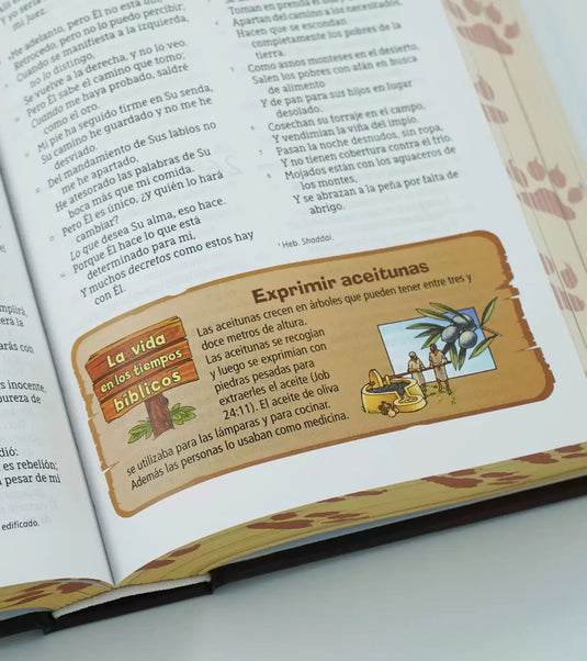 Biblia Aventura NBLA, Interior a color, Tapa dura, Cierre Magnético, Comfort Print