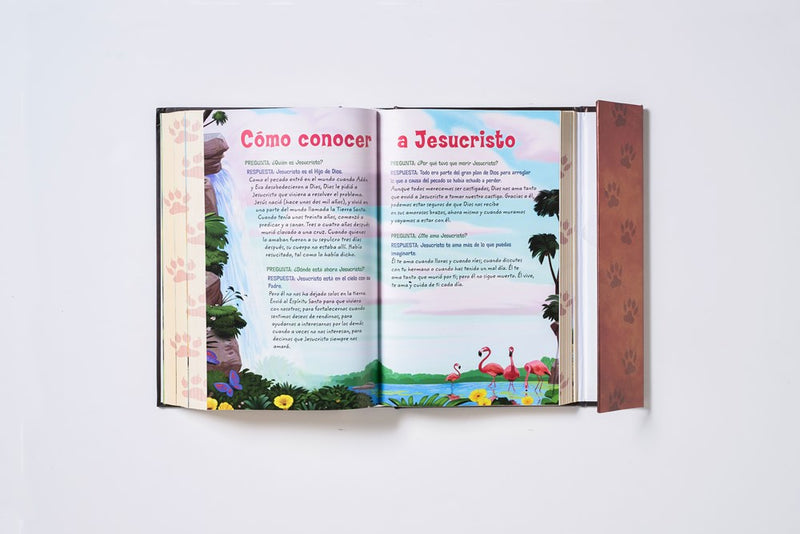 Cargue la imagen en el visor de la galería, Biblia Aventura NBLA, Interior a color, Tapa dura, Cierre Magnético, Comfort Print
