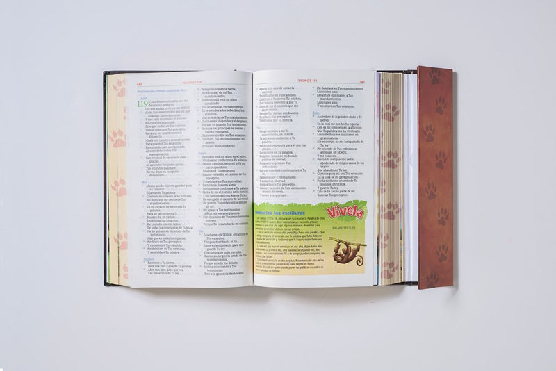 Cargue la imagen en el visor de la galería, Biblia Aventura NBLA, Interior a color, Tapa dura, Cierre Magnético, Comfort Print
