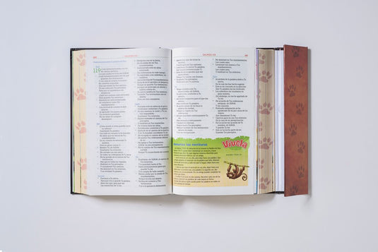 Biblia Aventura NBLA, Interior a color, Tapa dura, Cierre Magnético, Comfort Print