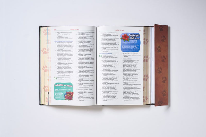 Cargue la imagen en el visor de la galería, Biblia Aventura NBLA, Interior a color, Tapa dura, Cierre Magnético, Comfort Print
