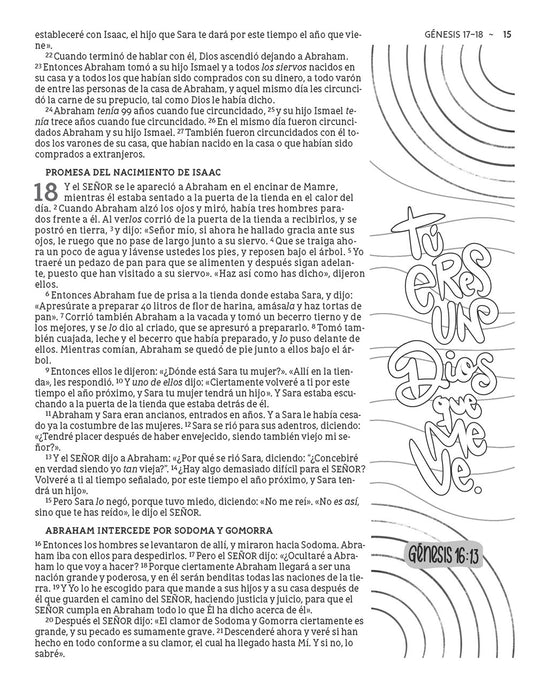 Biblia NBLA Artística Ilustrada, tapa dura, Rosada