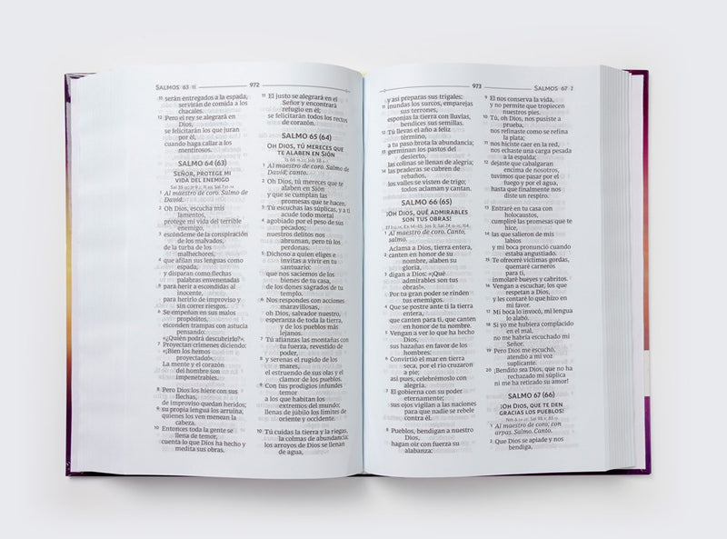 Cargue la imagen en el visor de la galería, Biblia Católica, Tapa Dura, Comfort Print
