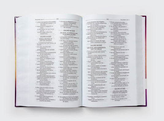 Biblia Católica, Tapa Dura, Comfort Print