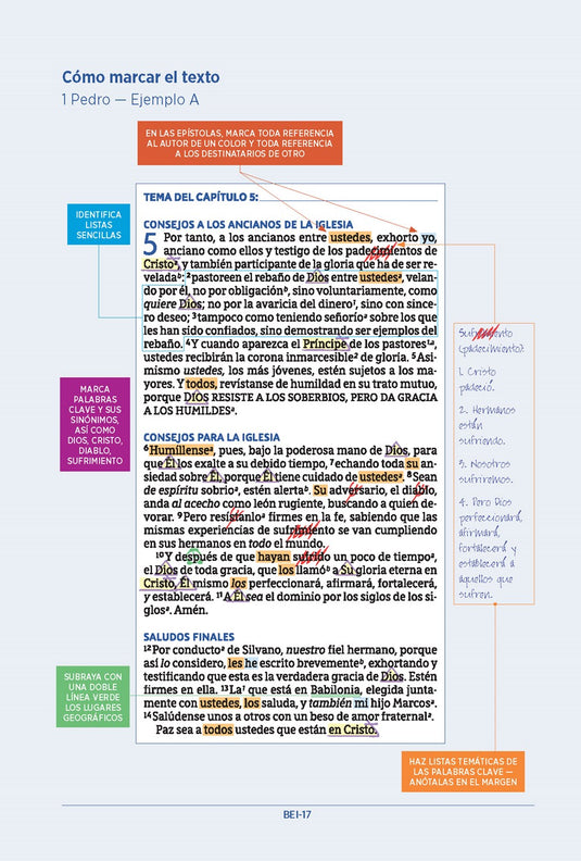 Biblia para el estudio inductivo NBLA, Interior a dos colores, imitación piel gris